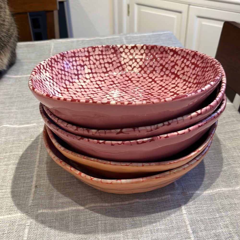 Set of 5 pasta bowls - Anthropologie - “Cora”collection